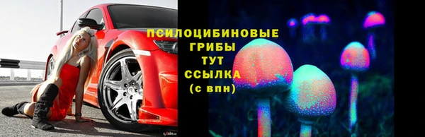 дживик Елизово