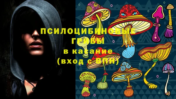 герыч Ельня