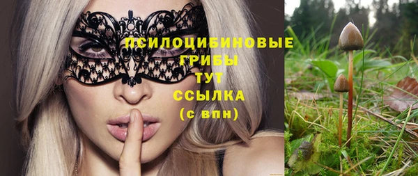 герыч Ельня