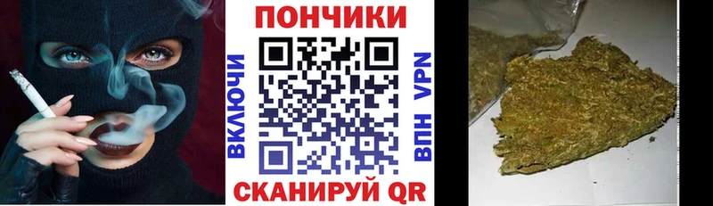 Шишки марихуана Amnesia  МЕГА как войти  Каргополь 